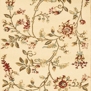 Safavieh Lyndhurst LNH552 Ivory/Multi Area Rug 