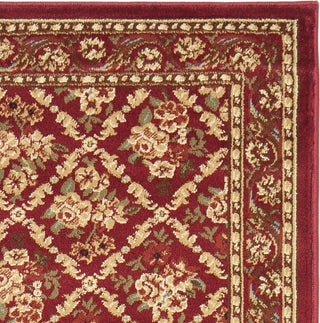 Safavieh Lyndhurst LNH556 Red/Red Area Rug 