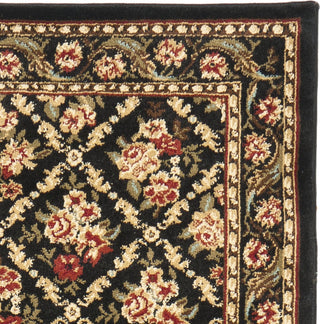 Safavieh Lyndhurst LNH556 Black/Black Area Rug 