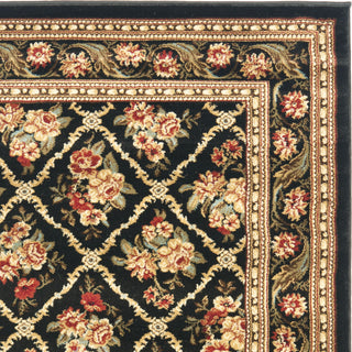 Safavieh Lyndhurst LNH556 Black/Black Area Rug 