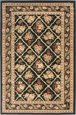 Safavieh Lyndhurst LNH556 Black/Black Area Rug main image