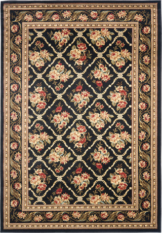 Safavieh Lyndhurst LNH556 Black/Black Area Rug 