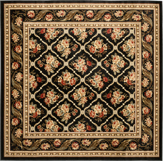 Safavieh Lyndhurst LNH556 Black/Black Area Rug 