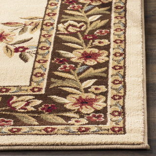 Safavieh Lyndhurst LNH557 Ivory/Brown Area Rug  Feature