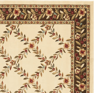 Safavieh Lyndhurst LNH557 Ivory/Brown Area Rug 