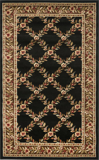 Safavieh Lyndhurst LNH557 Black/Brown Area Rug main image