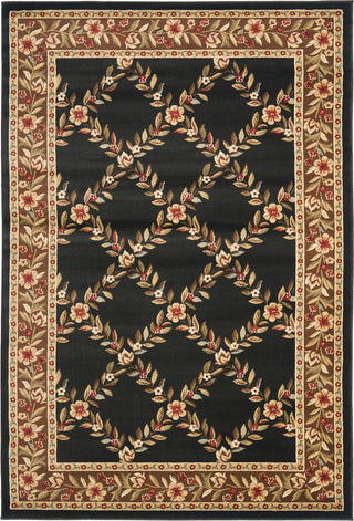 Safavieh Lyndhurst LNH557 Black/Brown Area Rug 