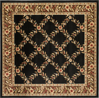 Safavieh Lyndhurst LNH557 Black/Brown Area Rug 