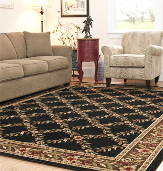 Safavieh Lyndhurst LNH557 Black/Brown Area Rug 