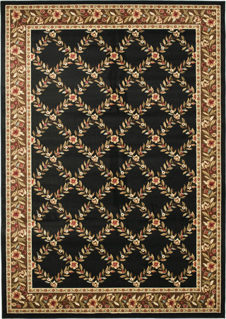 Safavieh Lyndhurst LNH557 Black/Brown Area Rug 