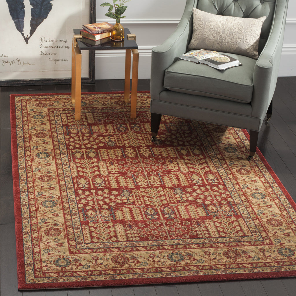 Safavieh Mahal MAH697A Red/Natural Area Rug  Feature