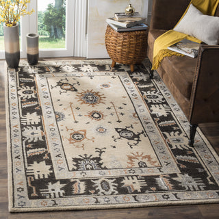 Safavieh Maharaja MHJ254 Beige/Charcoal Area Rug Room Scene