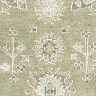 Safavieh Maharaja MHJ254 Slate/Silver Area Rug 