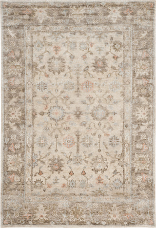 Safavieh Maharaja MHJ409 Brown/Ivory Area Rug main image