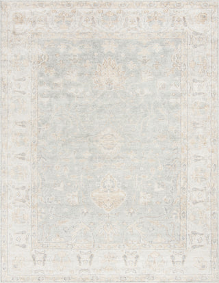 Safavieh Maharaja MHJ415 Light Blue/Ivory Area Rug 8' X 10'