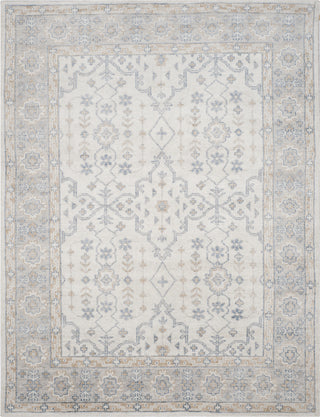 Safavieh Maharaja MHJ441 Ivory/Blue Area Rug 8' X 10'