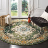Safavieh Monaco MNC243F Forest Green/Light Blue Area Rug 