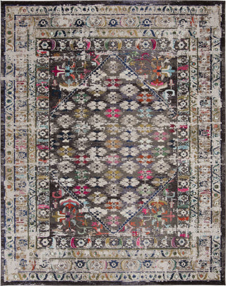 Safavieh Monaco MNC255T Brown/Grey Area Rug Main Image