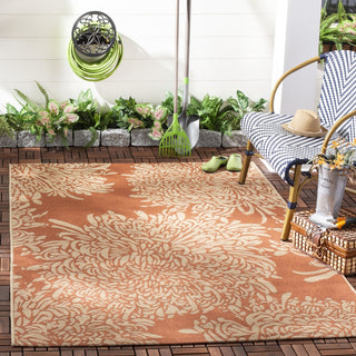 Safavieh Martha Stewart MSR4125A Terracotta/Beige Area Rug Lifestyle Image