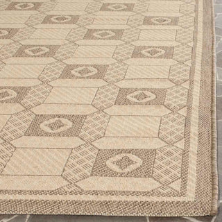 Safavieh Martha Stewart MSR4254 Creme/Brown Area Rug Detail Image