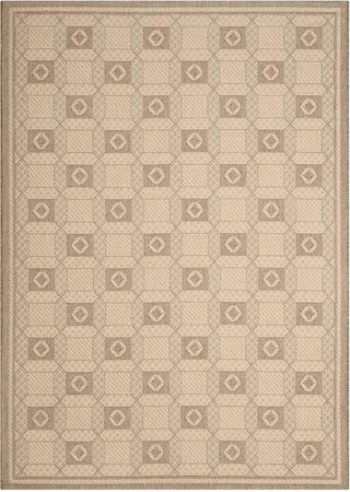 Safavieh Martha Stewart MSR4254 Creme/Brown Area Rug main image