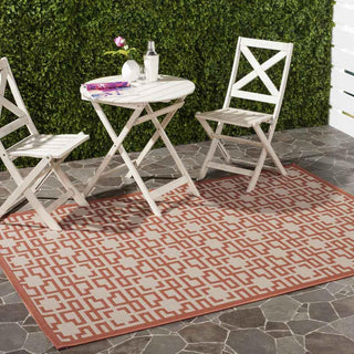 Safavieh Martha Stewart MSR4281 Beige/Terracotta Area Rug Lifestyle Image