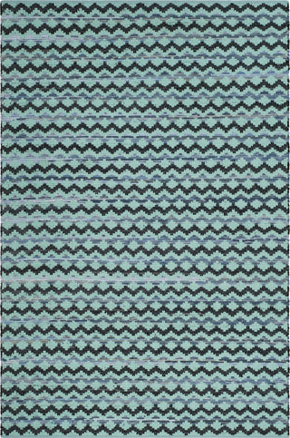 Safavieh Montauk MTK120 Turquoise/Blue/Black Area Rug Main