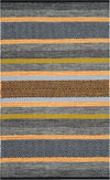 Safavieh Montauk MTK212 Navy/Multi Area Rug main image