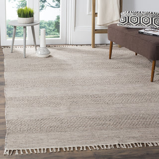 Safavieh Montauk MTK330 Ivory/Steel Grey Area Rug Room Scene