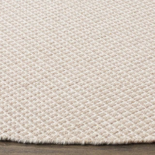 Safavieh Montauk MTK340 Ivory/Grey Area Rug Detail