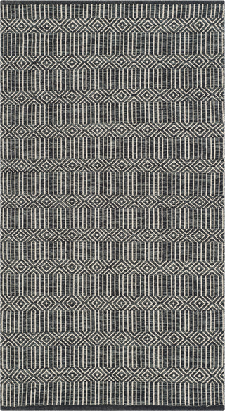 Safavieh Montauk MTK412 Ivory/Dark Grey Area Rug main image