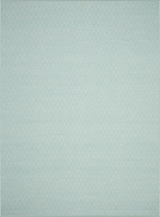 Safavieh Montauk MTK515 Ivory/Aqua Area Rug 8' X 10'