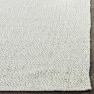 Safavieh Montauk MTK515 Ivory/Foam Green Area Rug Detail