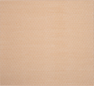 Safavieh Montauk MTK515 Ivory/Rust Area Rug 6' Square