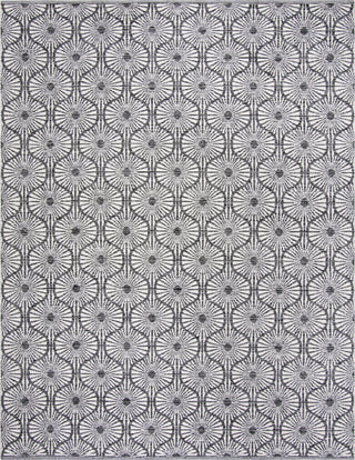 Safavieh Montauk MTK606 Black/Ivory Area Rug 8' X 10'