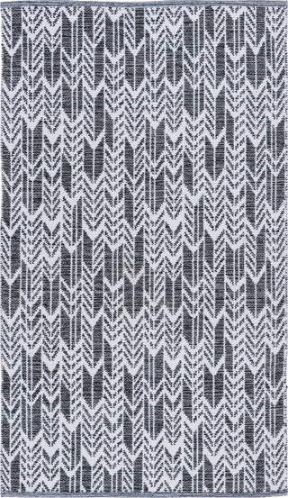 Safavieh Montauk MTK609 Black/Ivory Area Rug main image