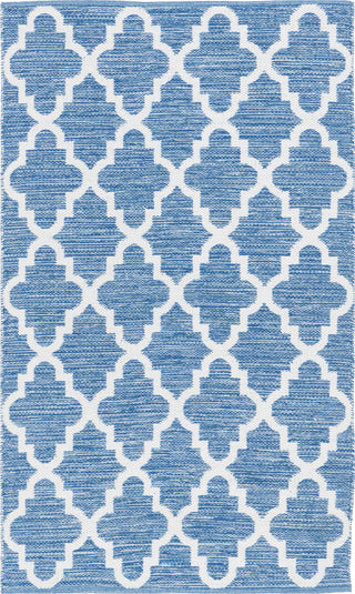 Safavieh Montauk MTK611 Blue/Ivory Area Rug main image