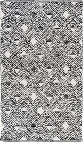 Safavieh Montauk MTK614 Black/Ivory Area Rug main image