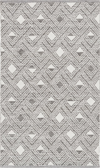 Safavieh Montauk MTK614 Charcoal/Ivory Area Rug main image