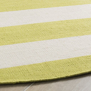 Safavieh Montauk MTK712 Green/Ivory Area Rug Detail