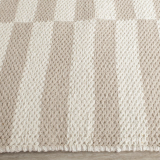 Safavieh Montauk MTK715 Ivory/Light Grey Area Rug Detail