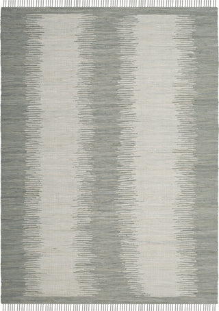 Safavieh Montauk MTK718 Grey Area Rug 8' X 10'