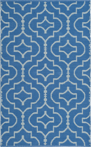 Safavieh Montauk MTK722 Blue/Ivory Area Rug main image