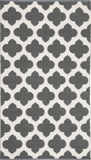 Safavieh Montauk MTK723 Dark Grey/Ivory Area Rug 3' X 5'