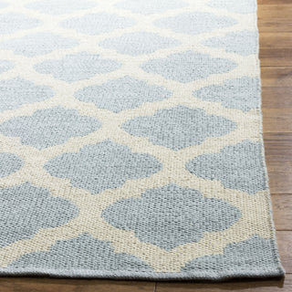 Safavieh Montauk MTK723 Light Blue/Ivory Area Rug Detail