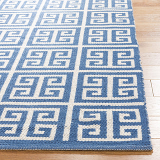 Safavieh Montauk MTK724 Blue/Ivory Area Rug Detail