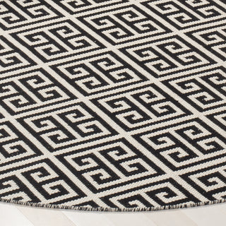 Safavieh Montauk MTK724 Black/Ivory Area Rug Detail