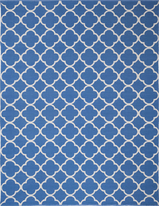 Safavieh Montauk MTK725 Blue/Ivory Area Rug 8' X 10'