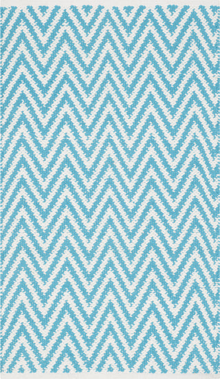 Safavieh Montauk MTK812 Turquoise/Ivory Area Rug main image