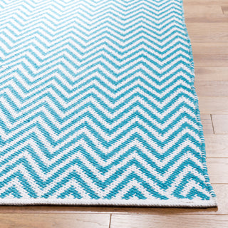 Safavieh Montauk MTK812 Turquoise/Ivory Area Rug Detail